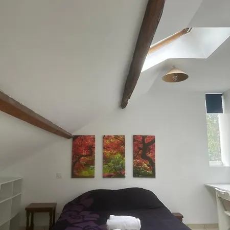 Tal's Duplax Appartamento Villeurbanne