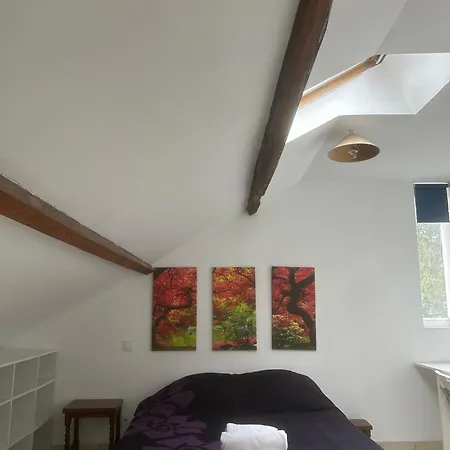 Tal's Duplax Appartamento Villeurbanne